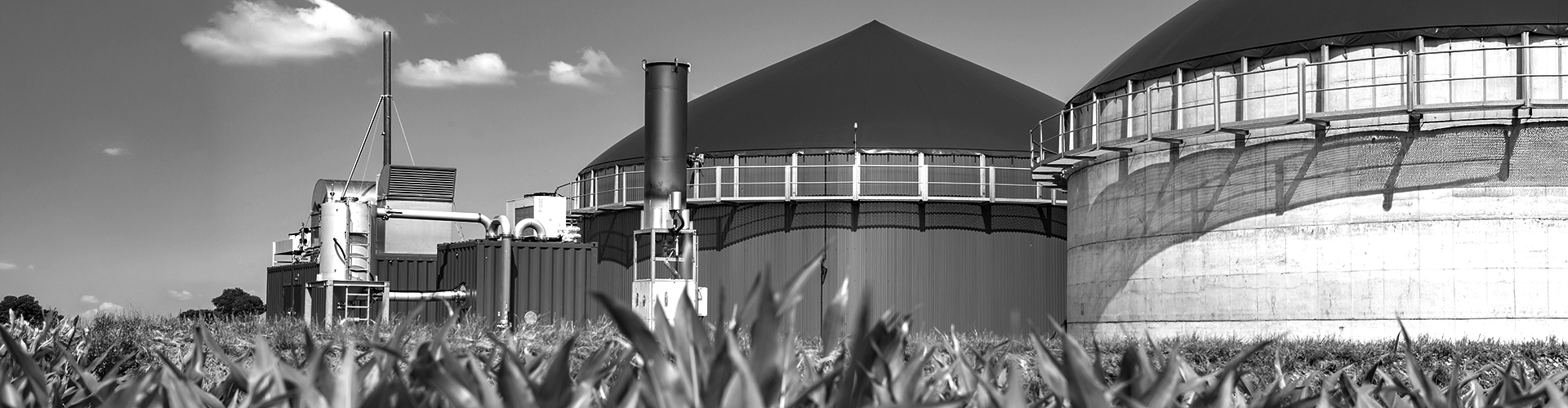 Software Butler - Das Batsch Butler® Warenwirtschaftssystem besteht aus zahlreichen branchenspezifischen Softwarebausteinen für den Bereich Erneuerbare Energie und die Agrarwirtschaft, Heizwerke, Biogas
